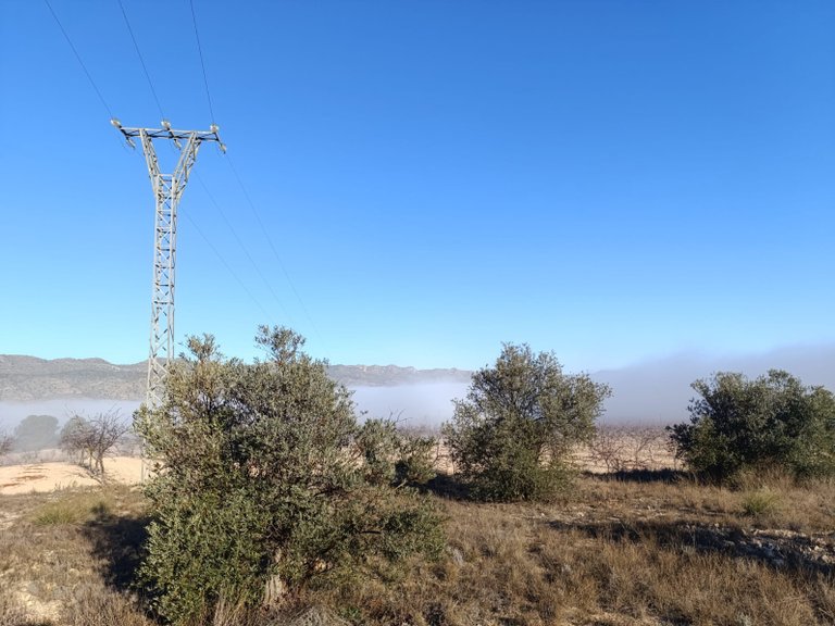 Plot for Sale in Yecla, Murcia 3