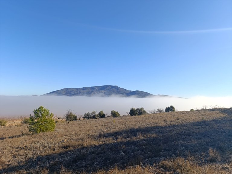 Plot for Sale in Yecla, Murcia 9