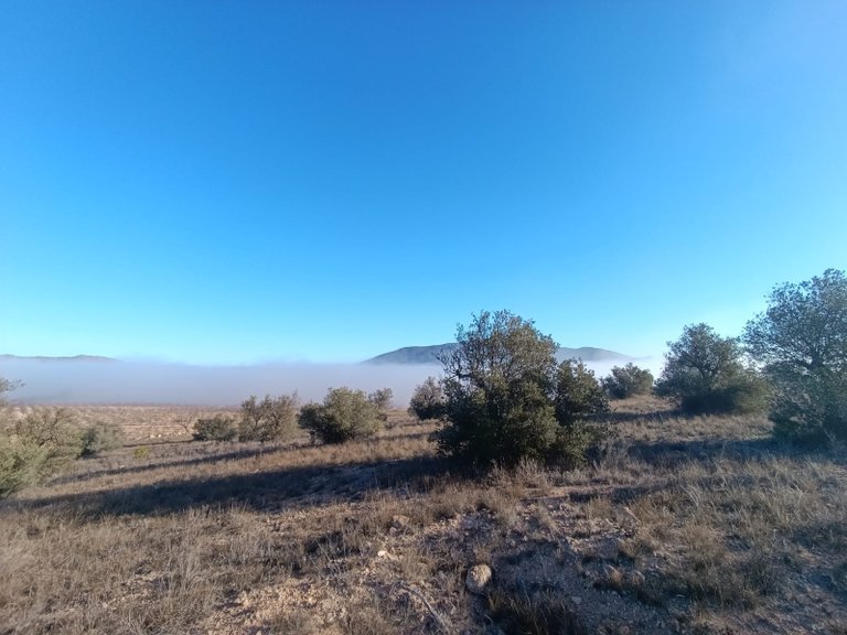 Plot for Sale in Yecla, Murcia 7