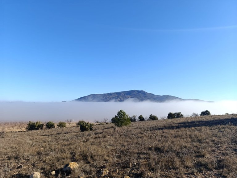 Plot for Sale in Yecla, Murcia 1