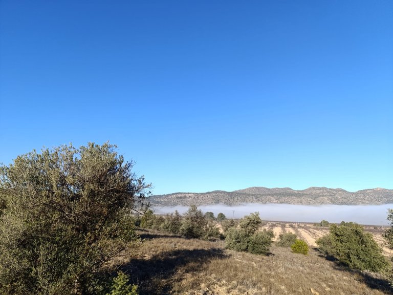 Plot for Sale in Yecla, Murcia 10