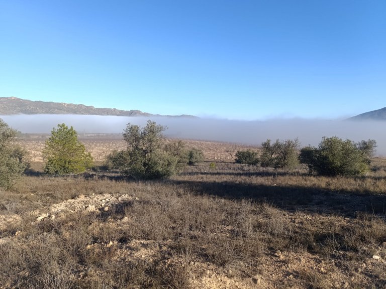 Plot for Sale in Yecla, Murcia 6
