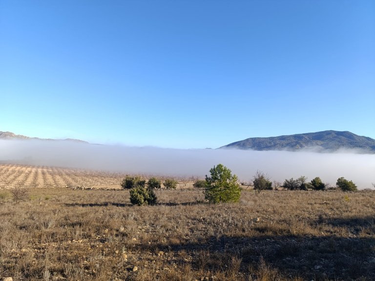 Plot for Sale in Yecla, Murcia 11