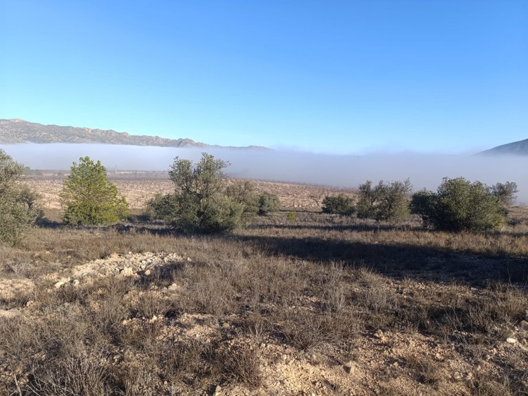 Plot for Sale in Yecla, Murcia 4