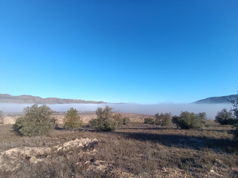 Plot for Sale in Yecla, Murcia 5