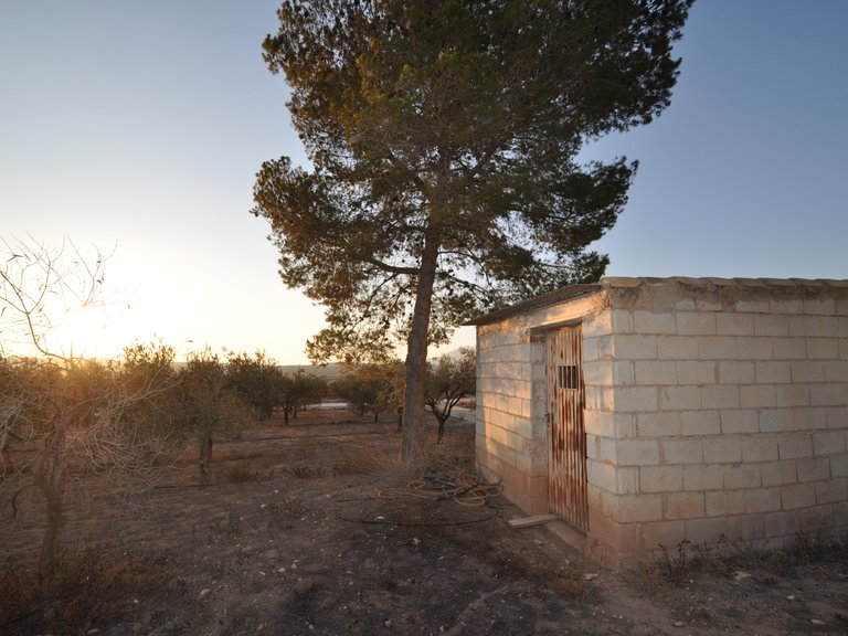 Plot for Sale in Pinoso, Alicante 7