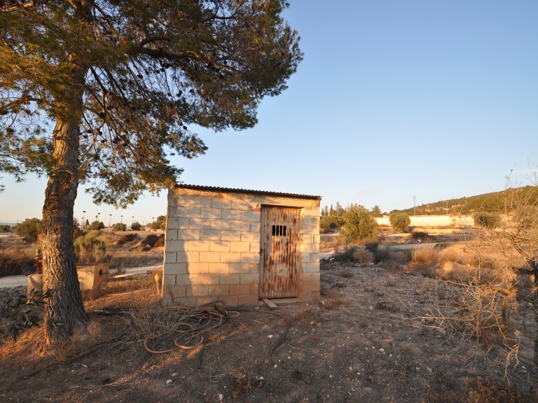 Plot for Sale in Pinoso, Alicante 8