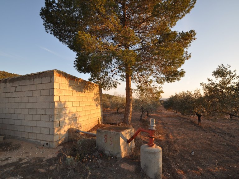 Plot for Sale in Pinoso, Alicante 6