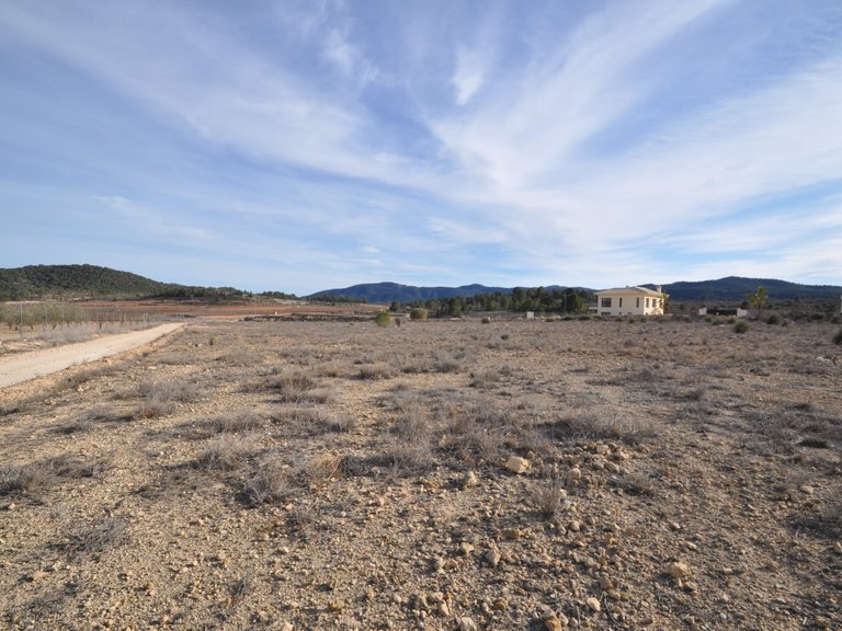 Plot for Sale in Pinoso, Alicante 1