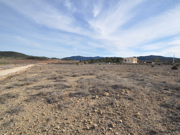 Plot for Sale in Pinoso, Alicante 3