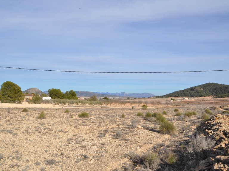 Plot for Sale in Pinoso, Alicante 7