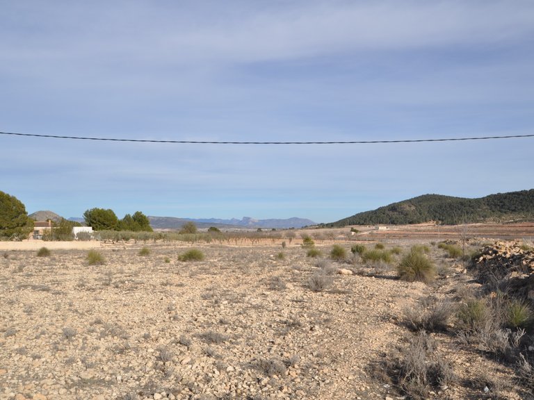 Plot for Sale in Pinoso, Alicante 5