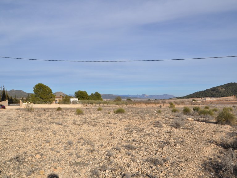 Plot for Sale in Pinoso, Alicante 4