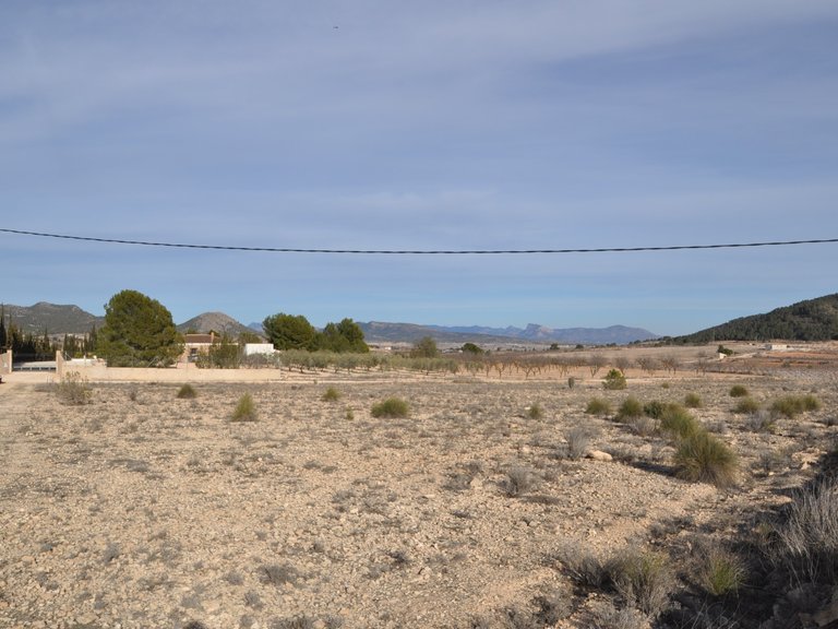 Plot for Sale in Pinoso, Alicante 6