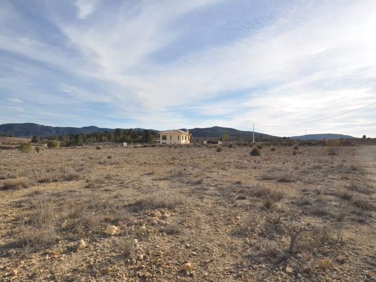 Plot for Sale in Pinoso, Alicante 2