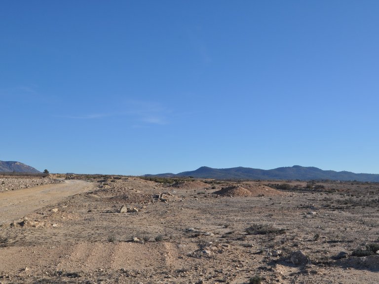 Plot for Sale in Pinoso, Alicante 1
