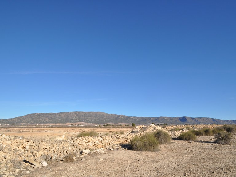 Plot for Sale in Pinoso, Alicante 15