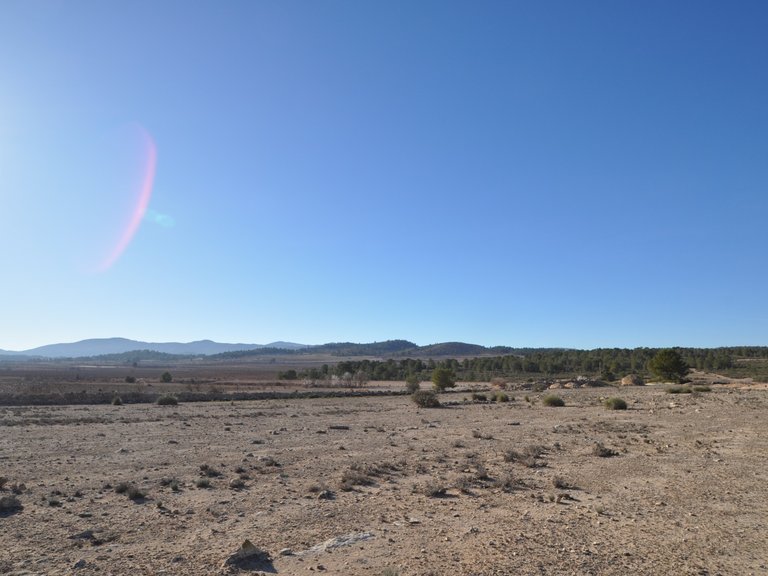 Plot for Sale in Pinoso, Alicante 13