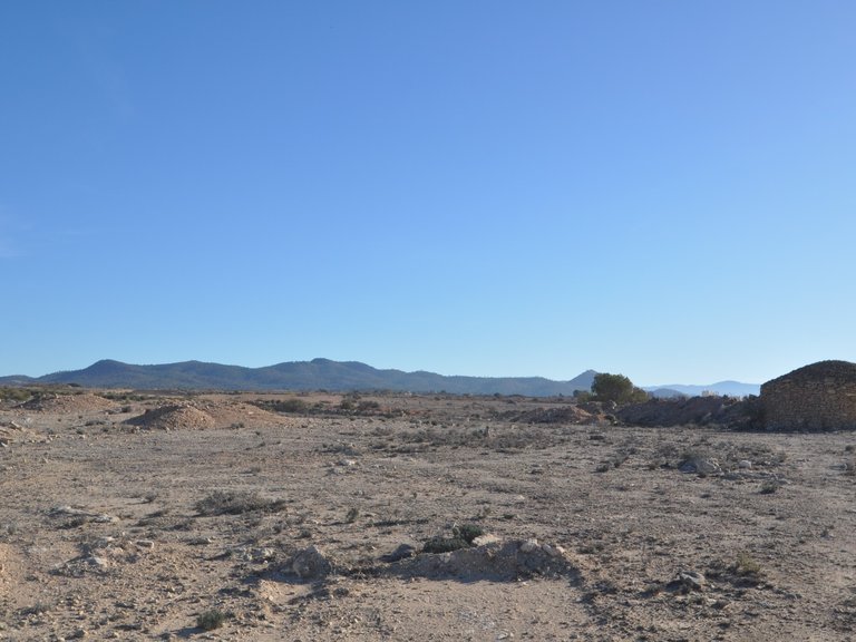 Plot for Sale in Pinoso, Alicante 4