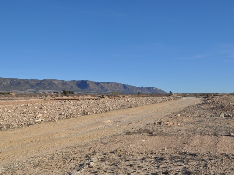 Plot for Sale in Pinoso, Alicante 3