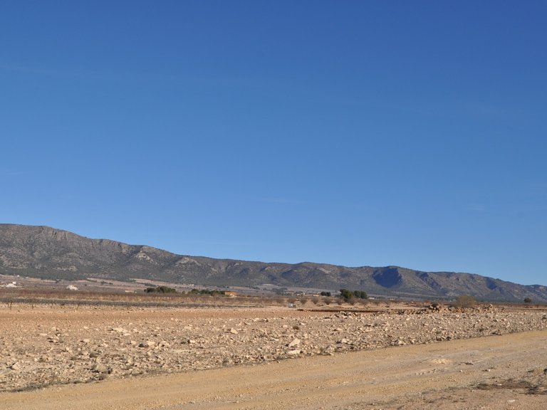 Plot for Sale in Pinoso, Alicante 7