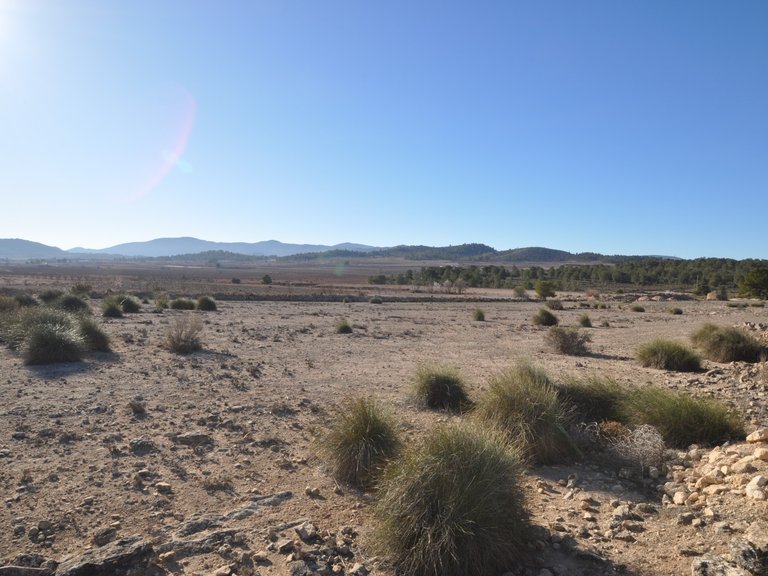 Plot for Sale in Pinoso, Alicante 18