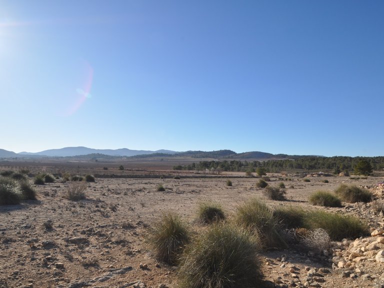 Plot for Sale in Pinoso, Alicante 19