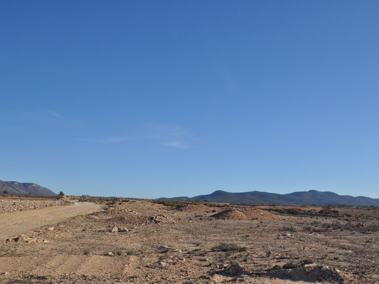 Plot for Sale in Pinoso, Alicante 8