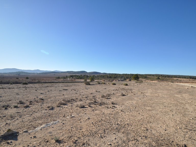 Plot for Sale in Pinoso, Alicante 12