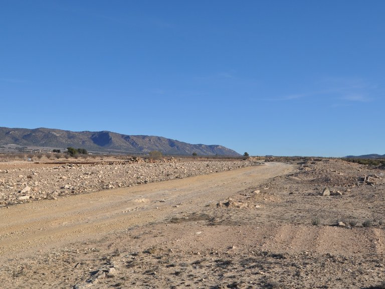 Plot for Sale in Pinoso, Alicante 2