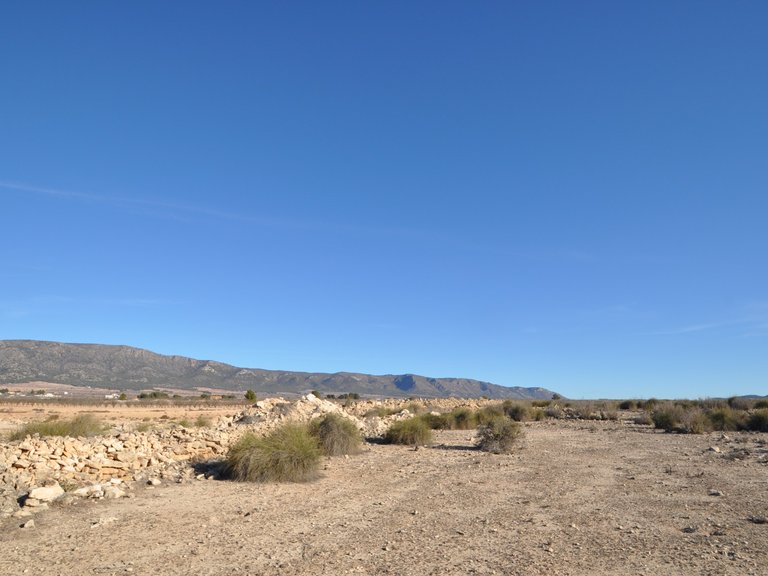 Plot for Sale in Pinoso, Alicante 16