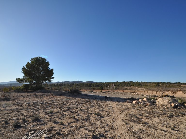 Plot for Sale in Pinoso, Alicante 9