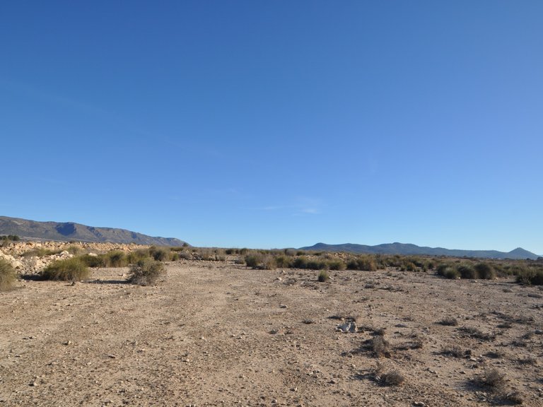 Plot for Sale in Pinoso, Alicante 17