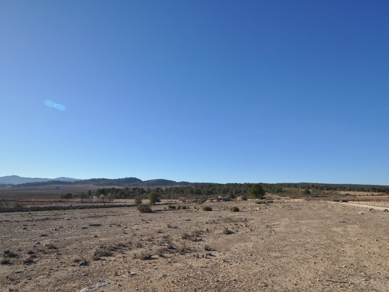 Plot for Sale in Pinoso, Alicante 14