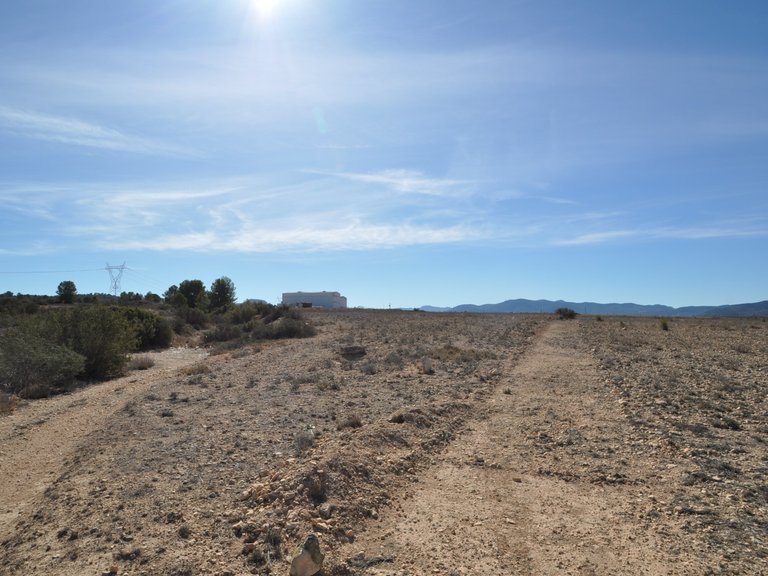 Plot for Sale in Monovar, Alicante 1