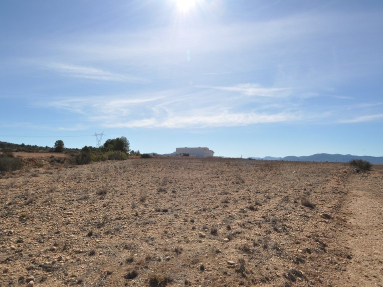 Plot for Sale in Monovar, Alicante 3