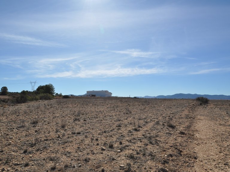 Plot for Sale in Monovar, Alicante 4