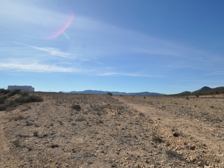 Plot for Sale in Monovar, Alicante 2
