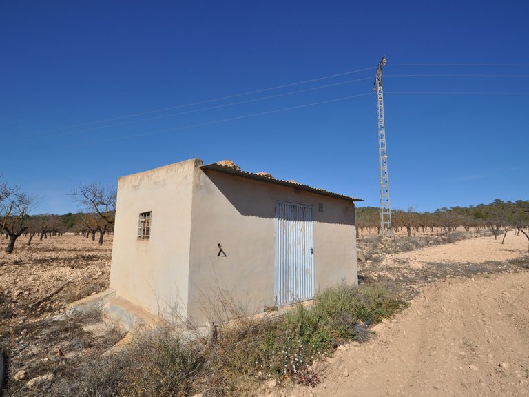 Plot for Sale in Monovar, Alicante 1
