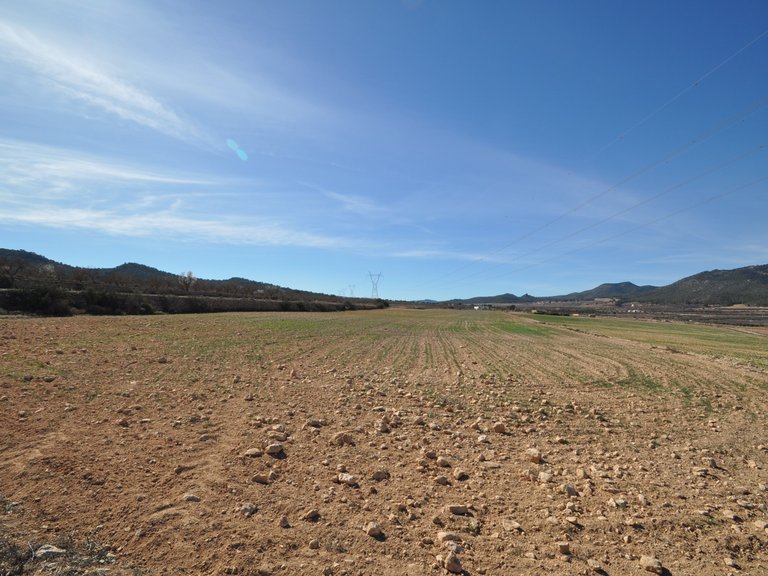 Plot for Sale in Salinas, Alicante 1