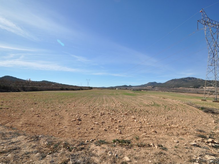 Plot for Sale in Salinas, Alicante 2