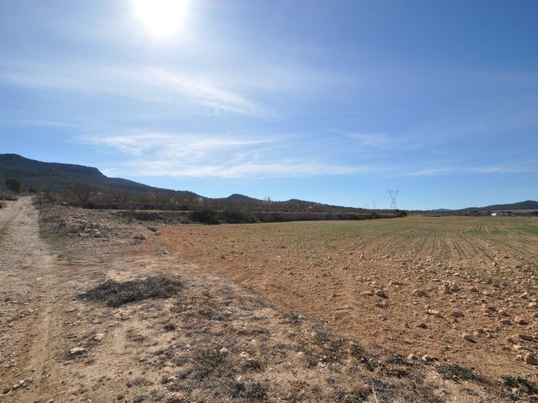 Plot for Sale in Salinas, Alicante 6