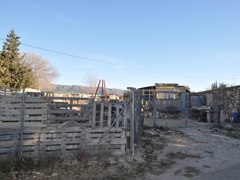 Plot for Sale in Pinoso, Alicante 2
