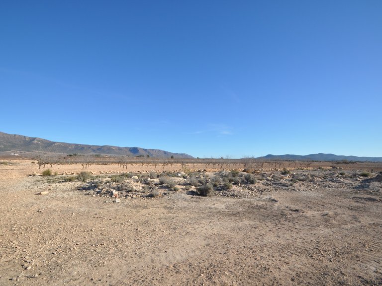 Plot for Sale in Pinoso, Alicante 5