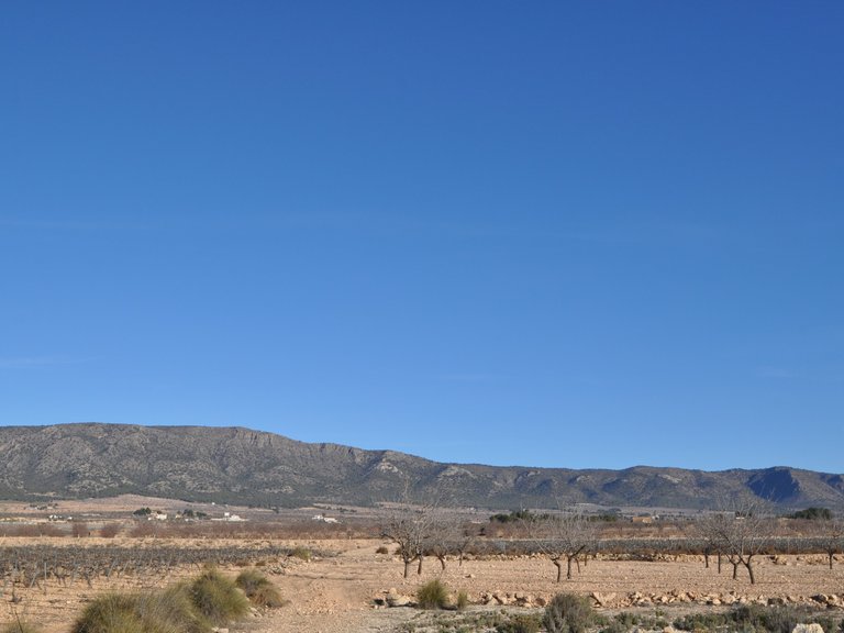 Plot for Sale in Pinoso, Alicante 4