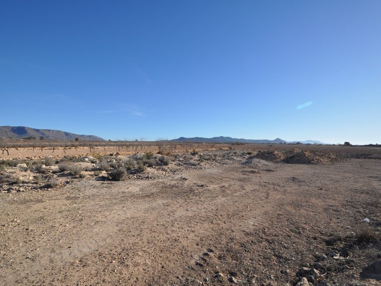Plot for Sale in Pinoso, Alicante 1