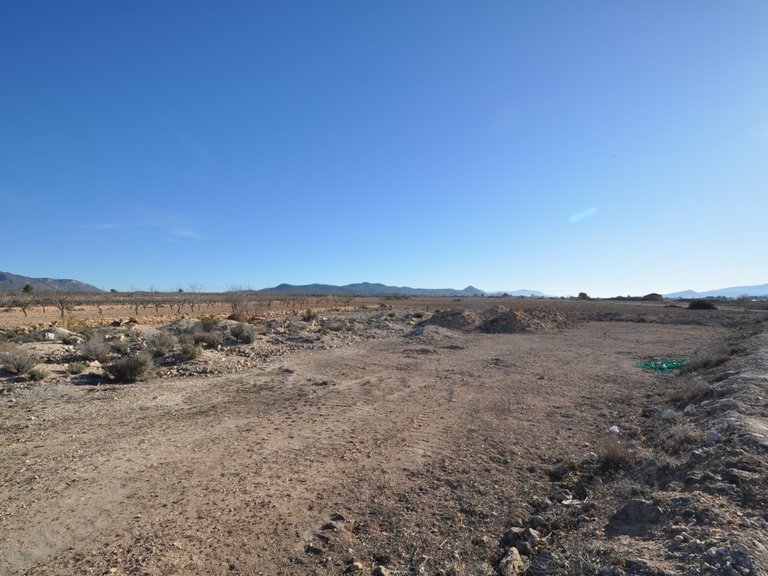 Plot for Sale in Pinoso, Alicante 3