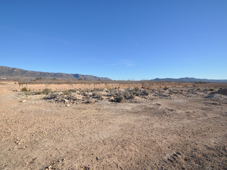 Plot for Sale in Pinoso, Alicante 2