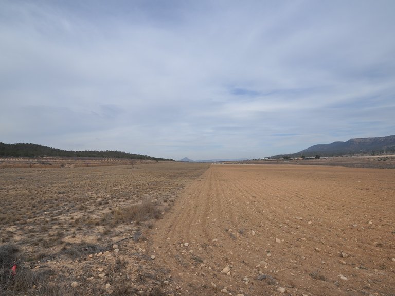 Plot for Sale in Monovar, Alicante 3
