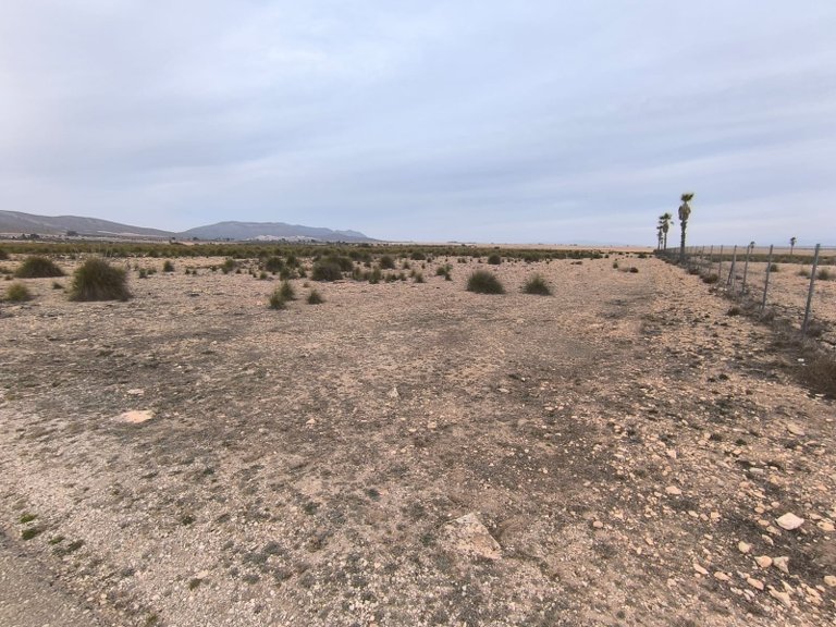 Plot for Sale in Yecla, Murcia 6